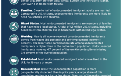 Tax payments by undocumented immigrants study released